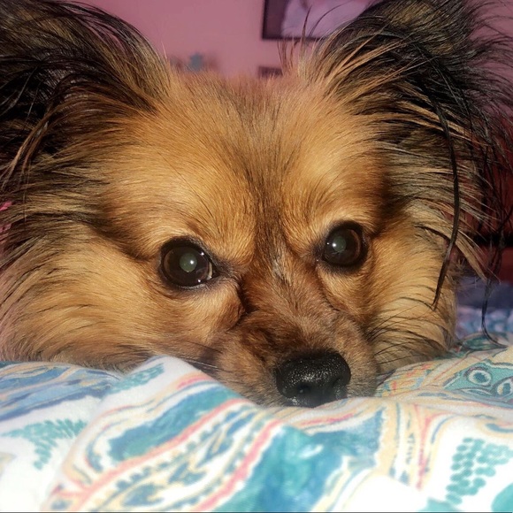 Meet your Posher, Brooke - Picture 6 of 7